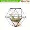 Large glass geometric terrarium container wholesale