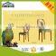 high quality hot sale wood dining chair wooden chair