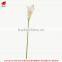 Dongguan Wholesale Artificial Flower Calla Lily Synthetic Flower Calla Lily Fake Flower Calla Lily
