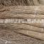 water reed for roof