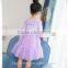 2017 New Arrival Long Sleeve Girls Dresses Velour Baby Clothes Cotton Lace Knee-Length Flower Cute Dress