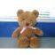 Offering Plush Toys Teddy Bear OEM Welcome