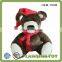 Customize Stuffed Animals Christmas Plush Teddy Bear Toy
