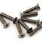 Titanium bolts