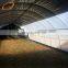 Agricultural Plastic Poly Cover Film with Silver and Black Mulching Film