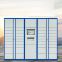 intelligent parcel locker with Access control system board and electronic lock