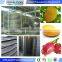 Spiral freezer quick freeze machine frozen vegetable production line