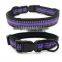 Diving Cloth Reflective Ribbon Pet Collar Leash Training Dog Pulling Rope Pet Neck Chain Pet Supplies