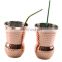 Hand Hammered Outside Copper Inside Nickel Plated Tumbler Moscow Mule Mugs Copper Tumbler Cups pure copper glass