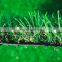 High density sports tennis artificial grass carpet turf for landscaping garden artificial grass turf