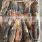 whole round peru giant squid frozen giant squid equator squid dosidicus gigas