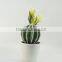 Green cheap tropical plants artificial succulent plants and artificial cactus flower