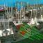 Low price pineapple peeler machine