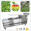 Vegetable and Fruit Bubble Washer / Bubble washing machine /Bubbling washer machine