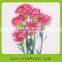 Reasonable price best selling fresh cut flower of pink carnation flower