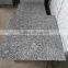China spray white granite tile prices