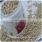 Chinese Health Food Sunflower Seed Kernel for Oil