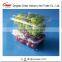 Plastic Fruit packaging container tray disposable plastic blueberry packaging container