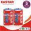 r20 d size dry cell battery