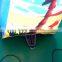 China Cute dolphine waterslide inflatable for pool