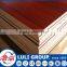 hot sale first class color plywood