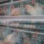 broiler cage and feeding system on hot sale