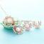 Pearl Jewelry Rose Gold Plated Earring for Women Daily Wear SEK004R