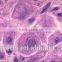 Zoology prepared Slides , Inflammation Prepared Slide,sterm prepared slides you can choose from