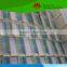 Direct factory zygomycetes individual prepared microscope slides