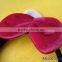 China Manufacturers Hair Accessories Girls Hairband Cute Cat Ear Headbands For Children