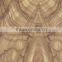 Wood Design melamine paper decorative paper for Furniture