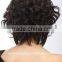 Wholesale new synthetic short afro curly hair style full lace wigs for black women