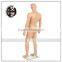 Skin color male full body mannequin for display