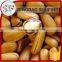 Organic pine nuts wholesale prices