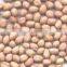INDIAN EXPORTER OF GROUNDNUT KERNEL