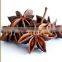 Best selling star anise aniseeds with stems, best quality by HAGIMEX