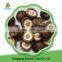 Chinese Low Price Frozen Cutting Quarter Shiitake Mushrooms