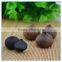 Inner Bag Packed Fermented Black Garlic Extract for Sale