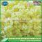 Grade A iqf frozen diced garlic with best quality and low price