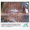 Dried seasoned squid wings shred/squid snacks supplier from China