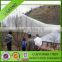 2016 hot sale Agricultural HDPE anti bee nets / anti hail netting /anti wind screen net mesh
