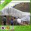 Polyethylene cross pollination nets,bee netting