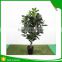 Incredibly Realistic Artificial Rubber Ficus Plant Tree for Home and House