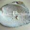 natural raw thick chinese river triangle shell/raw shells
