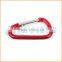 Fashion High Quality carabiner with lanyard and keyring