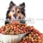 Original real beef pet dog food for all life stages