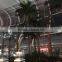 Artificial tall palm tree for airport public decoration