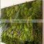 plastic green wall for living room decoration moss green wall decoration