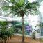 2017 new innovation artificial plastic coconut palm tree for hall decoration