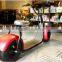 2017 THE BEST QUALITY most fashionable citycoco 2 wheel electric scooter, adult electric motorcycle